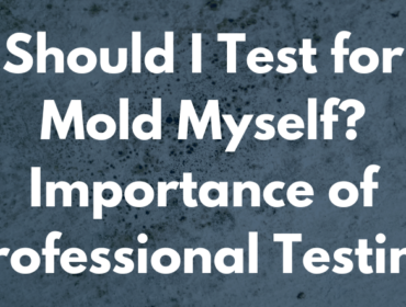 Should I Test for Mold Myself Air mold testing Maine