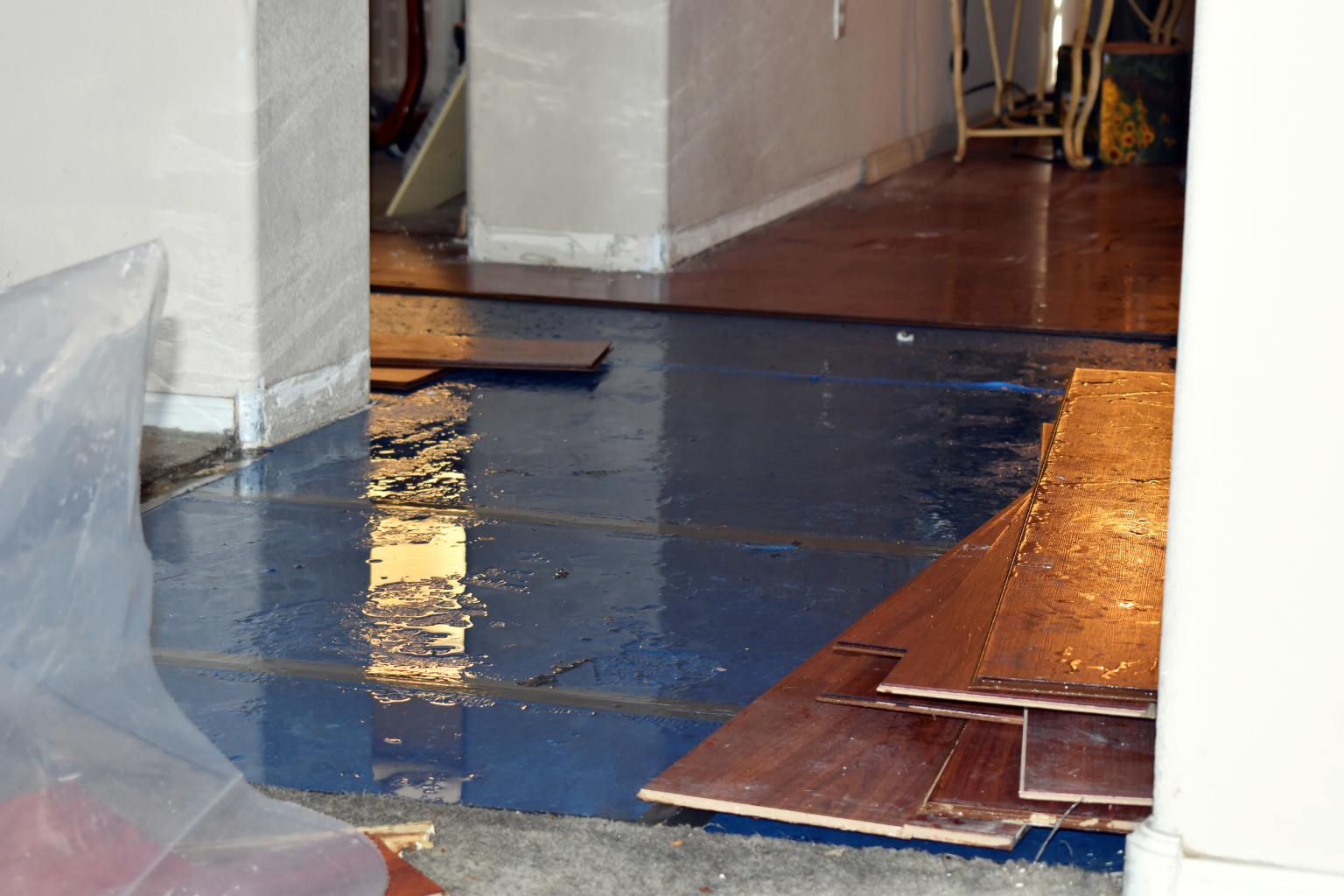 Water Damage Assessment Company Maine