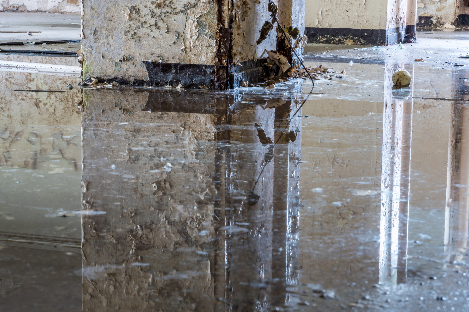 Water Damage Assessment Inspection Maine